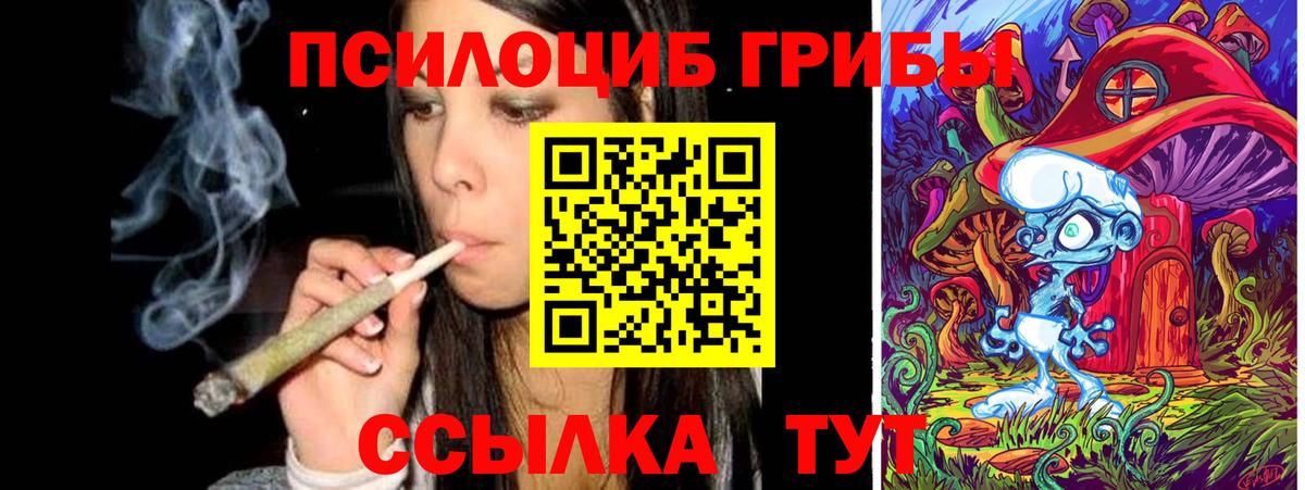 Псилоцибиновые грибы GOLDEN TEACHER Волжский